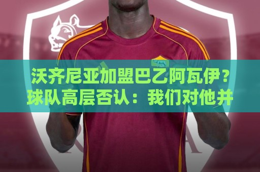 沃齐尼亚加盟巴乙阿瓦伊?球队高层否认:我们对他并不感兴趣 沃齐尼亚加盟巴乙阿瓦伊?球队高层否认:我们对他并不感兴趣