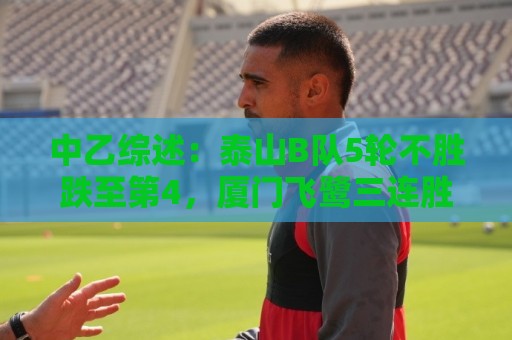 中乙综述：泰山B队5轮不胜跌至第4，厦门飞鹭三连胜终结无缘登顶
