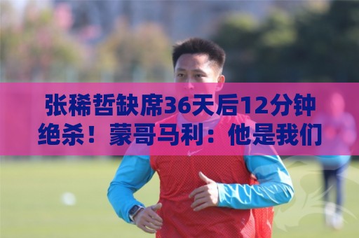 张稀哲缺席36天后12分钟绝杀！蒙哥马利：他是我们的队魂