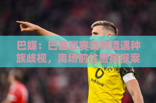 巴媒：巴西联赛裁判遭遇种族歧视，离场前往警局报案
