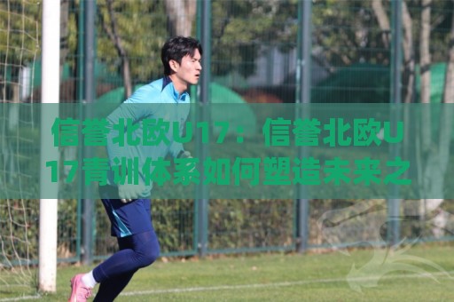 信誉北欧U17：信誉北欧U17青训体系如何塑造未来之星？(信誉北欧U17)赛事风格与球员成长路径🍢今晚靠谱最火进球站社区排行信号赔率升盘在线看