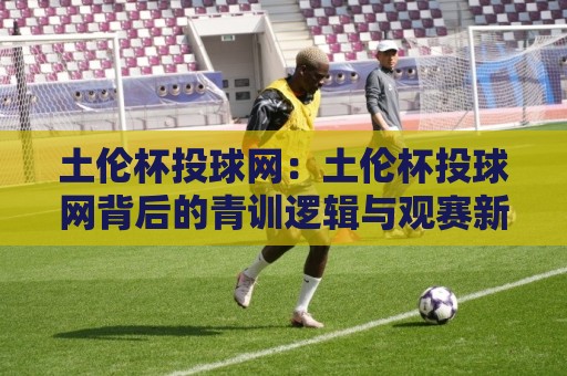 土伦杯投球网：土伦杯投球网背后的青训逻辑与观赛新视角，土伦杯投球网如何读懂年轻球员的成长轨迹🍢今晚靠谱最火押球网无需注册观看解说让球盘高清技巧