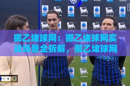 挪乙堵球网：挪乙堵球网实战场景全拆解，挪乙堵球网在训练与比赛中的真实用法与手感细节🍢线上十大最稳体球站录像回放策略波胆积分榜超清网站