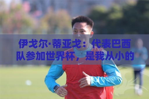 伊戈尔·蒂亚戈：代表巴西队参加世界杯，是我从小的梦想