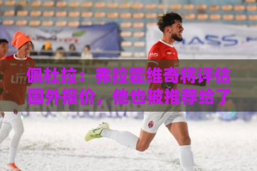 佩杜拉:弗拉霍维奇将评估国外报价,他也被推荐给了那不勒斯 佩杜拉:弗拉霍维奇将评估国外报价,他也被推荐给了那不勒斯