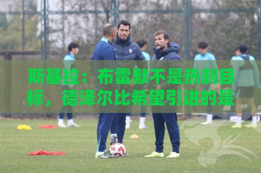 斯基拉：布雷默不是热刺目标，德泽尔比希望引进的是范赫克