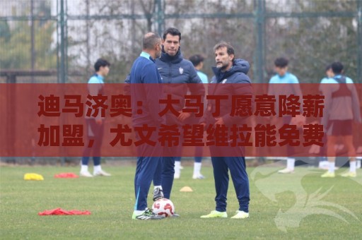 迪马济奥:大马丁愿意降薪加盟,尤文希望维拉能免费放人 迪马济奥:大马丁愿意降薪加盟,尤文希望维拉能免费放人